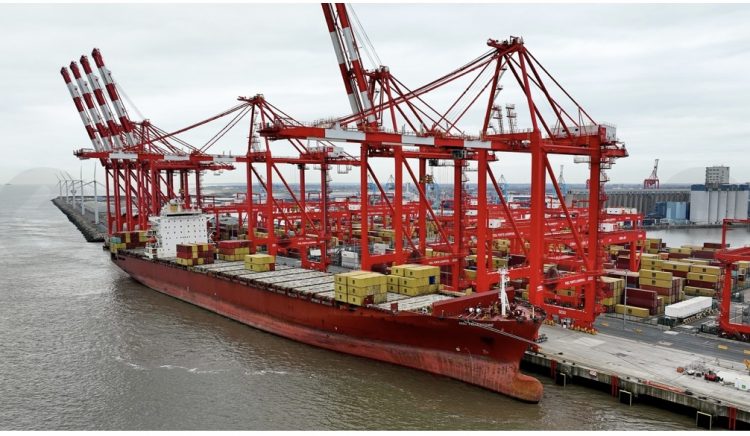 You are currently viewing Whittaker windfall despite fall in Peel Ports’ profits